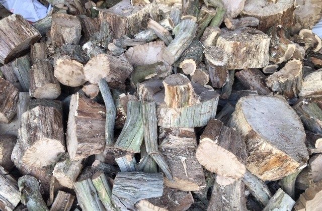 Logs for sale Tenbury Wells